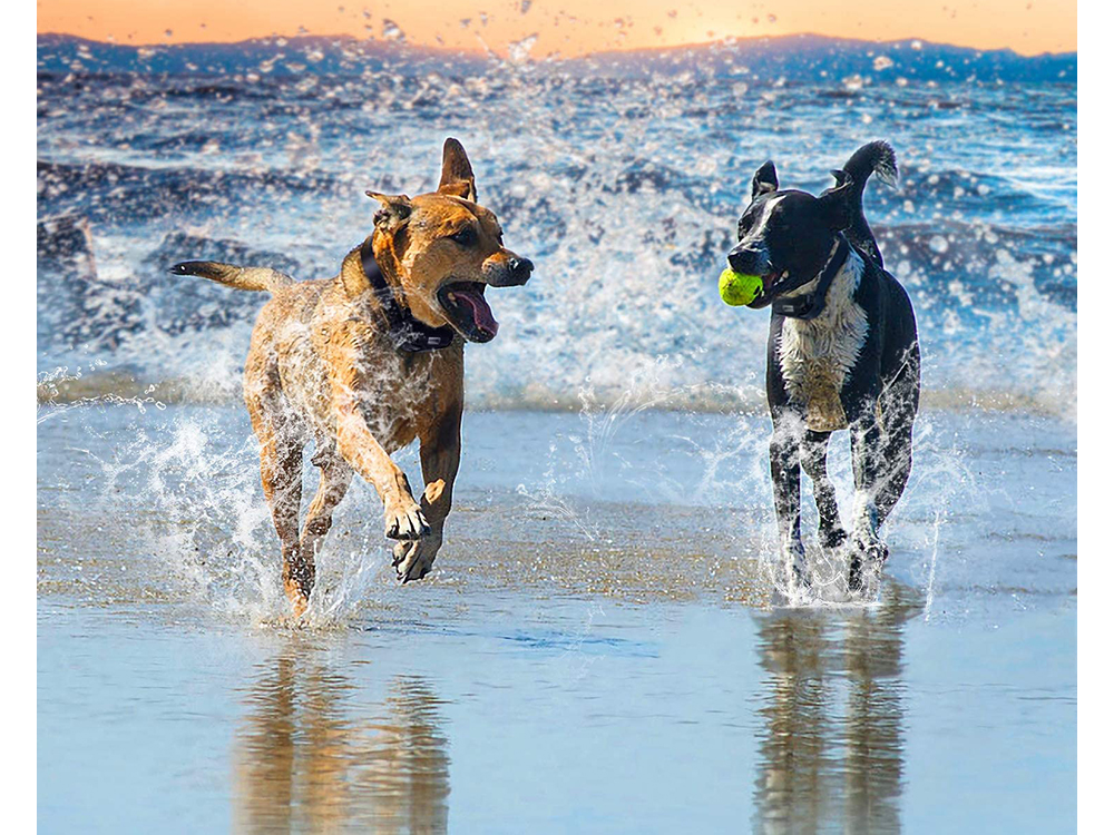 72fa608b5ed3e153d56e556fce5f85c3